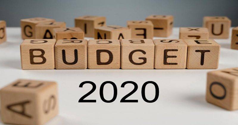 Budget in a nutshell (2020)
