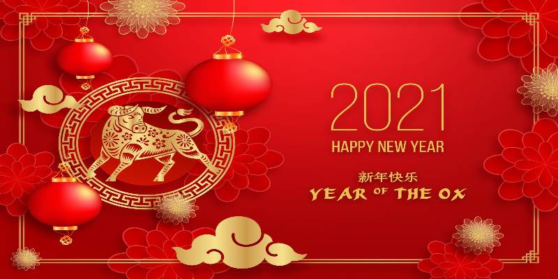 Chinese New Year (zodiac signs)