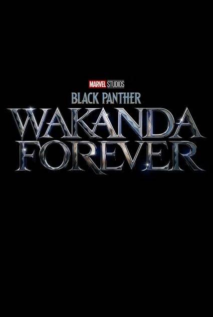 Black Panther Poster