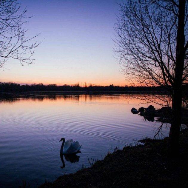 Gentofte Lake