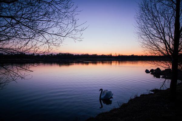 Gentofte Lake
