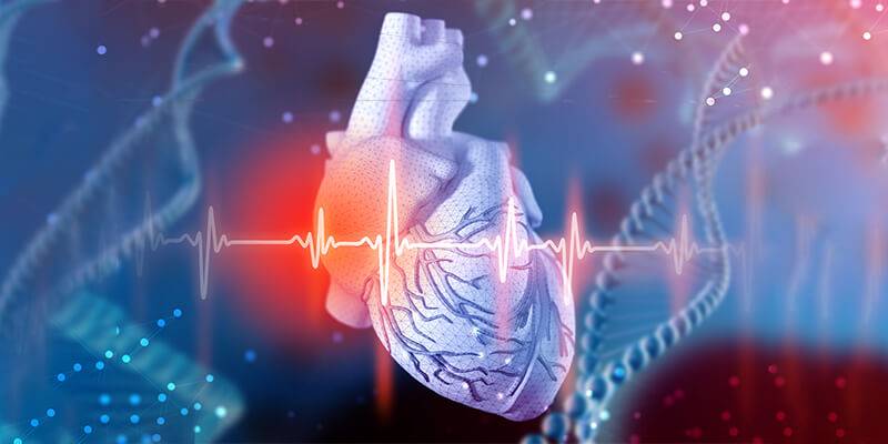 cardiovascular diseases