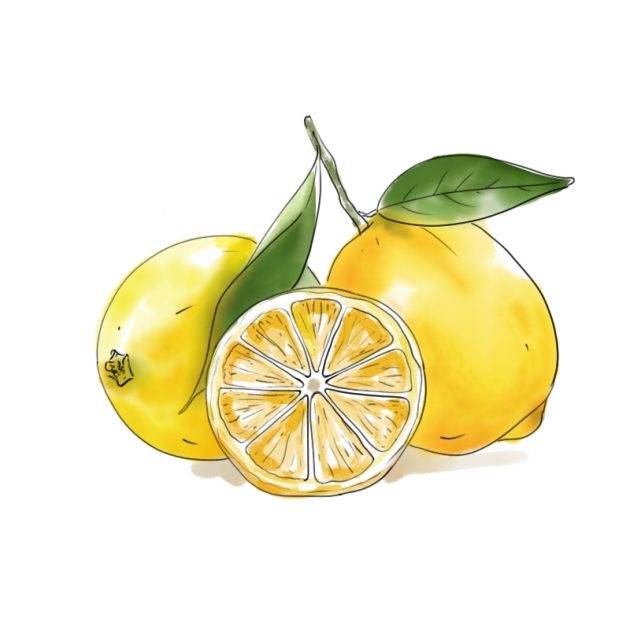 Lemon