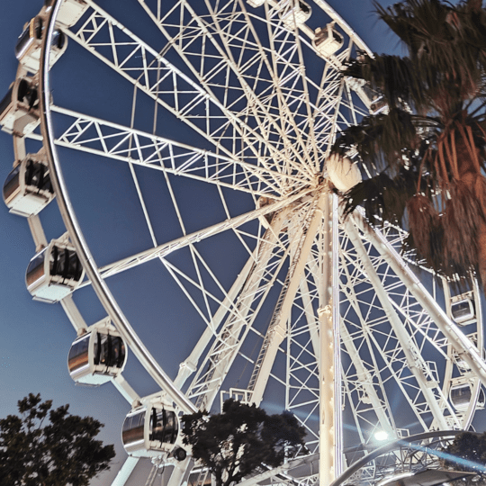 Cape Wheel