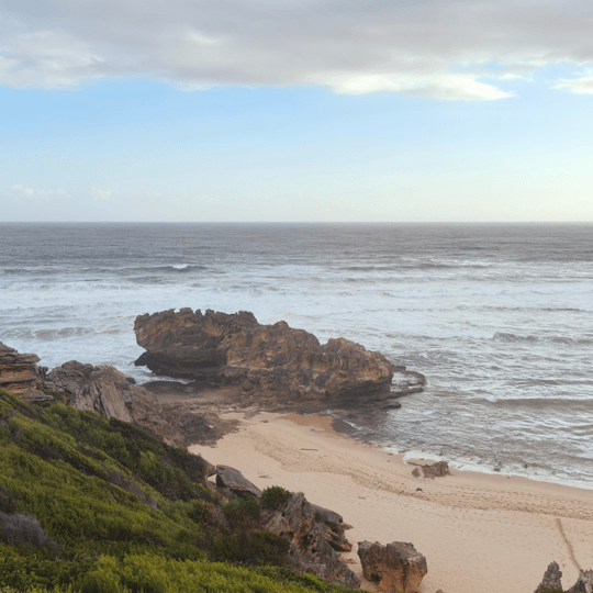 Margaret's Viewpoint